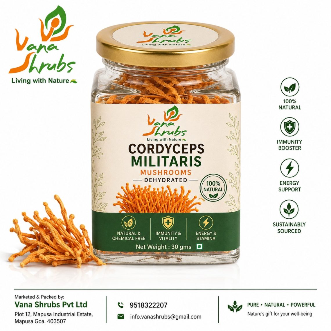 Cordyceps Militaris Tincture